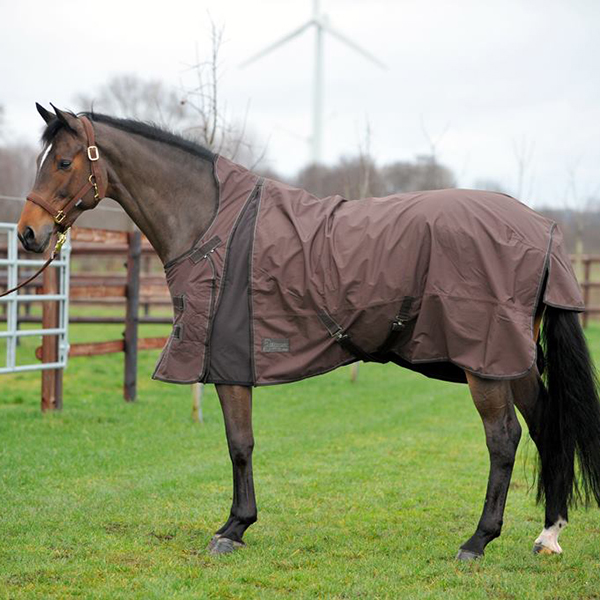 Handelsvertretung, Benedikt Schäfers, Handelspartner, Reitsport, Jagdsport, Hörstel-Riesenbeck, Ibbenbüren, Rheine, Münster, Osnabrück, Bremen, Hamburg, Dortmund, Ruhrgebiet, Düsseldorf, Köln, Bonn, Westfalen, Niedersachen, NRW, Nordrhein-Westfalen, Stiefel, Stiefeletten, Klamotten, Equipment, Zubehör, Ausstattung, Pferde, Reiter, Jäger, Hunde, Reitstiefel, Stiefeletten, Schuhe, Reithosen