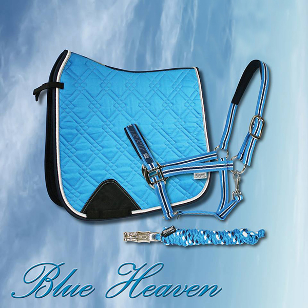 Handelsvertretung, Benedikt Schäfers, Handelspartner, Reitsport, Jagdsport, Hörstel-Riesenbeck, Ibbenbüren, Rheine, Münster, Osnabrück, Bremen, Hamburg, Dortmund, Ruhrgebiet, Düsseldorf, Köln, Bonn, Westfalen, Niedersachen, NRW, Nordrhein-Westfalen, Stiefel, Stiefeletten, Klamotten, Equipment, Zubehör, Ausstattung, Pferde, Reiter, Jäger, Hunde, Reitstiefel, Stiefeletten, Schuhe, Reithosen